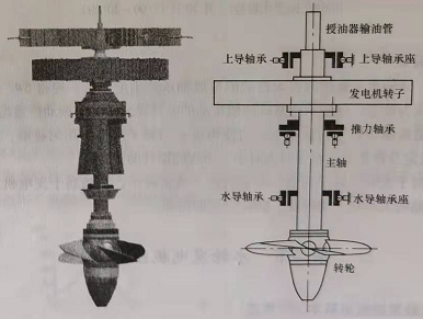 立式水轮发电机组轴系结构示意图